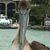 Shirley Fritz's profile image