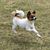 Wendy Libby Buzzell's profile image
