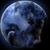 Patricia Walters's profile image