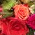 Linda Glazer's profile image