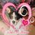 Gail Martin Bush's profile image