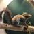 Ellen Agnew's profile image