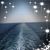 Debbie Sikon's profile image