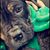 Tracy Cotterman's profile image