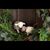 Kelly Fletcher Sprague's profile image