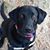 Marcia Kendall's profile image