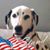 Carole Friel's profile image