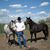 David Green's profile image