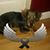 Michelle Glomb-Heft's profile image
