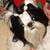 Connie Bailey's profile image