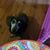Dyane Elizabeth Schmorde-Kirby's profile image