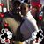 Stacy Prince Fan's profile image