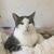 Rhonda J. Nava's profile image
