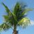 Kathy Kirkman Lane's profile image