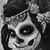 Ross Rios's profile image
