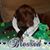 Alexis Ballogg-Saviola Lierman's profile image