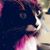 Melissa Kiehl's profile image