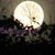Sandra Hair-Lanham's profile image