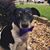 Stephanie Huesgen Tanner's profile image