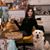 Sheila Hetherington's profile image
