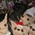 Donna Vittorio Oklesh's profile image