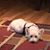 Patty Ehrnsberger's profile image