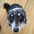 Amy Hughes Sprik's profile image