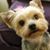 Sandra Edwards Farmer's profile image