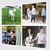 Kathryn Rodosky Taylor's profile image