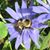 Beth Frechette's profile image