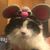 Tanja Carpenter's profile image