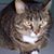 Gail Ouellette's profile image