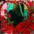 Donna Allen's profile image