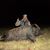 Carlos Bustos's profile image