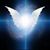 Arda Abajian's profile image