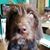 Diane Bradley's profile image