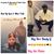 Tawanda MsKeke Williams's profile image