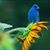 Gloria Betancur's profile image