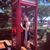 Dinora Judith's profile image