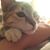 Tasha Tash's profile image