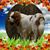 Martha Howard's profile image