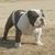 D.j. Stox's profile image