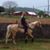 Teresa Martin Wallen's profile image