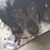 Cheri Berman's profile image