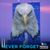 Tim Grattan's profile image
