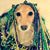 Capi Ann's profile image
