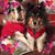 Jean Goldston McClure's profile image
