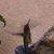 Elizabeth Ann Groethe-Andrew's profile image