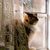 Linda Seitz's profile image