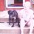 Paula Williams's profile image